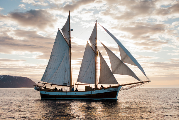 Húsavík Walbeobachtungs- und Segelabenteuer