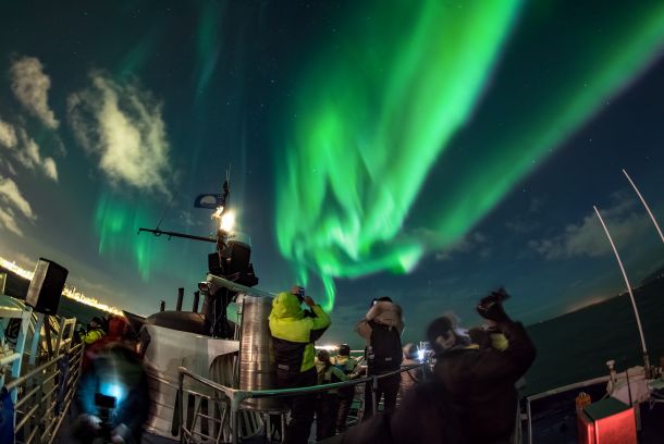 Nordlichter Reykjavik